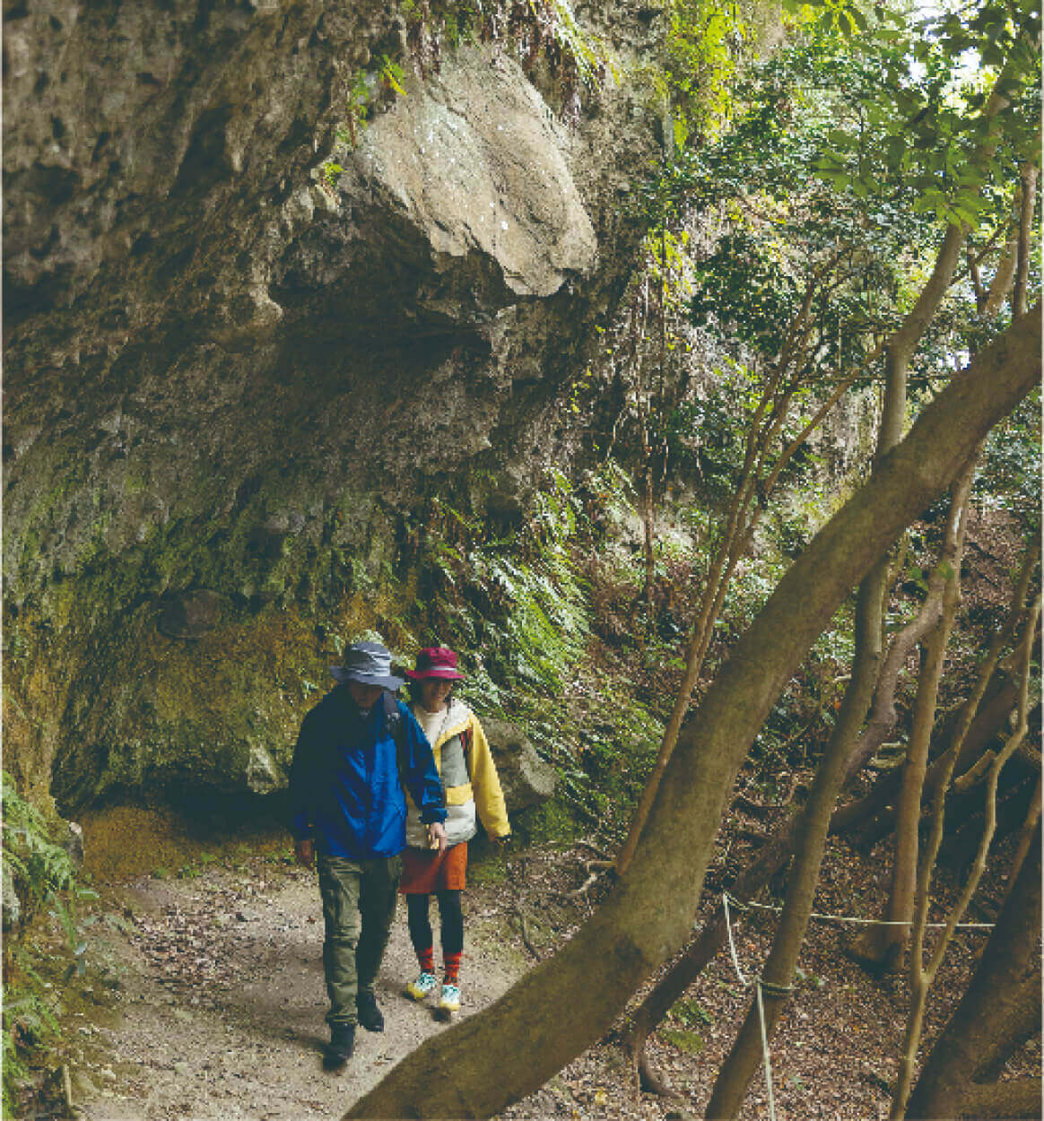 国東 トレッキング